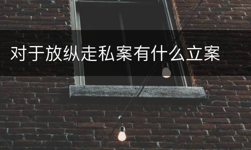 对于放纵走私案有什么立案