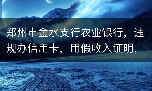 郑州市金水支行农业银行，违规办信用卡，用假收入证明，假行车证，没面签，办信用卡，