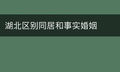 湖北区别同居和事实婚姻