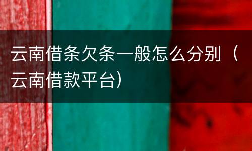 云南借条欠条一般怎么分别（云南借款平台）