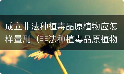 成立非法种植毒品原植物应怎样量刑（非法种植毒品原植物罪中的种植行为）