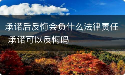 承诺后反悔会负什么法律责任 承诺可以反悔吗