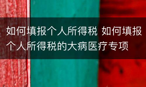 如何填报个人所得税 如何填报个人所得税的大病医疗专项
