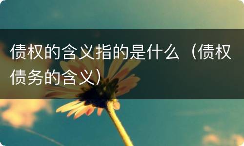 债权的含义指的是什么（债权债务的含义）