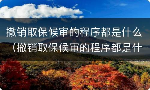 撤销取保候审的程序都是什么（撤销取保候审的程序都是什么程序）