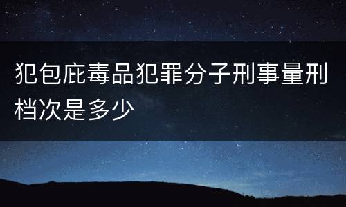 犯包庇毒品犯罪分子刑事量刑档次是多少