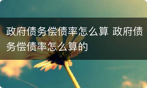 政府债务偿债率怎么算 政府债务偿债率怎么算的