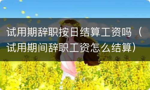 试用期辞职按日结算工资吗（试用期间辞职工资怎么结算）