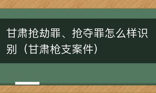 甘肃抢劫罪、抢夺罪怎么样识别（甘肃枪支案件）