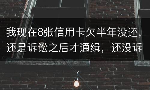 我现在8张信用卡欠半年没还，还是诉讼之后才通缉，还没诉讼
