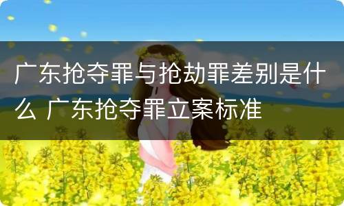 广东抢夺罪与抢劫罪差别是什么 广东抢夺罪立案标准