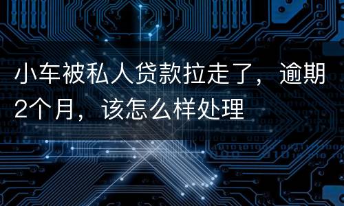 小车被私人贷款拉走了，逾期2个月，该怎么样处理