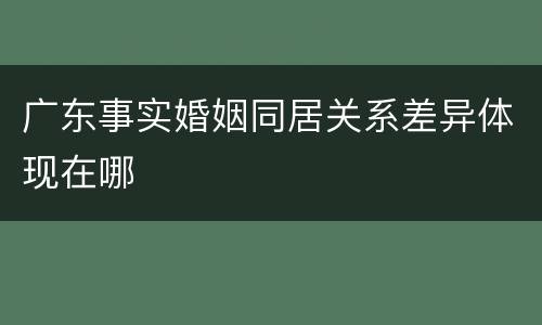 广东事实婚姻同居关系差异体现在哪