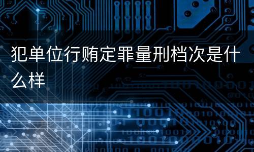犯单位行贿定罪量刑档次是什么样