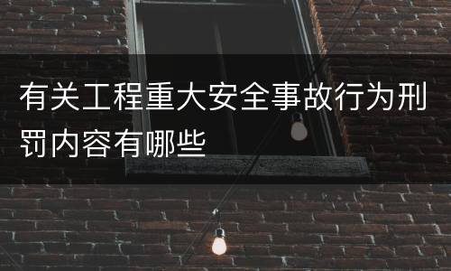有关工程重大安全事故行为刑罚内容有哪些