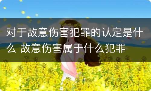 对于故意伤害犯罪的认定是什么 故意伤害属于什么犯罪