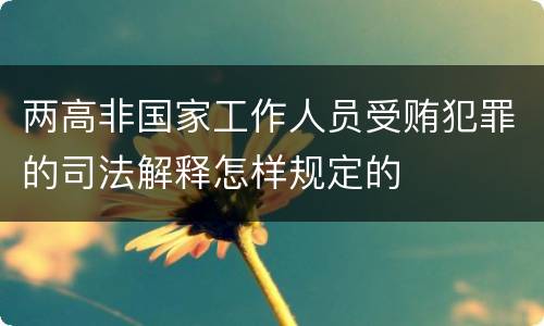 两高非国家工作人员受贿犯罪的司法解释怎样规定的