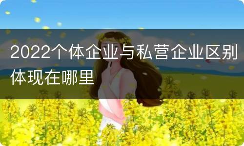 2022个体企业与私营企业区别体现在哪里