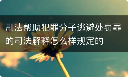 刑法帮助犯罪分子逃避处罚罪的司法解释怎么样规定的