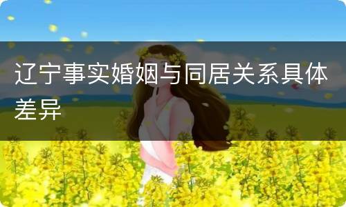 辽宁事实婚姻与同居关系具体差异