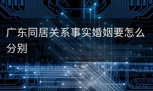 广东同居关系事实婚姻要怎么分别
