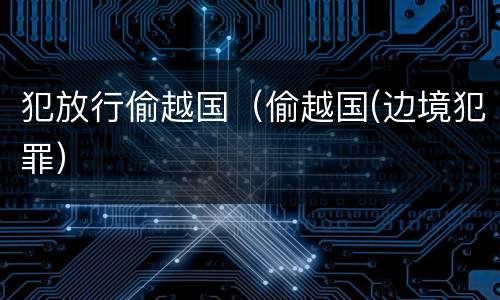 犯放行偷越国（偷越国(边境犯罪）