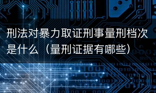 刑法对暴力取证刑事量刑档次是什么（量刑证据有哪些）