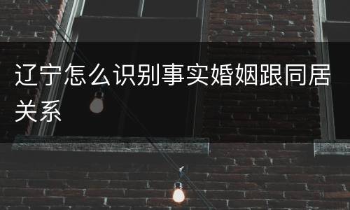 辽宁怎么识别事实婚姻跟同居关系