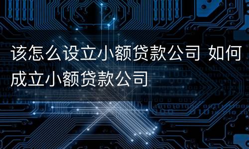 该怎么设立小额贷款公司 如何成立小额贷款公司