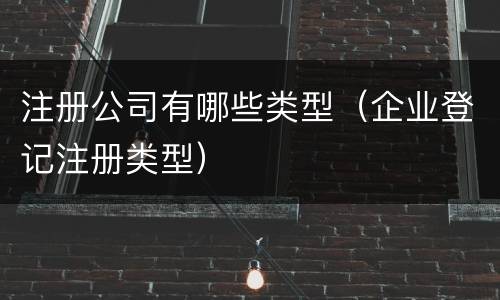 注册公司有哪些类型（企业登记注册类型）