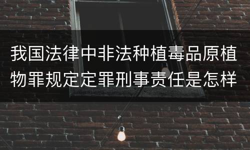 我国法律中非法种植毒品原植物罪规定定罪刑事责任是怎样