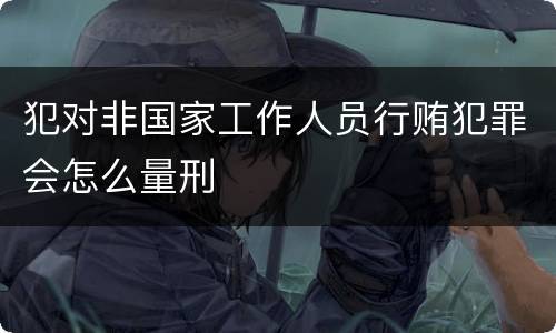 犯对非国家工作人员行贿犯罪会怎么量刑