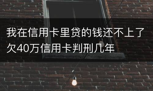 我在信用卡里贷的钱还不上了欠40万信用卡判刑几年