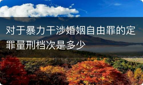对于暴力干涉婚姻自由罪的定罪量刑档次是多少