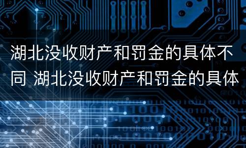 湖北没收财产和罚金的具体不同 湖北没收财产和罚金的具体不同在哪