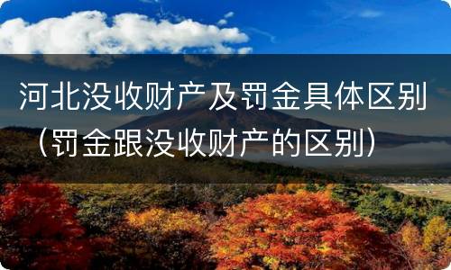 河北没收财产及罚金具体区别（罚金跟没收财产的区别）