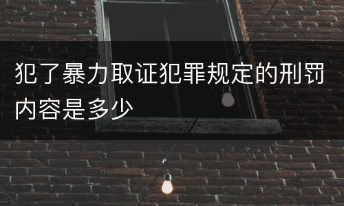 犯了暴力取证犯罪规定的刑罚内容是多少