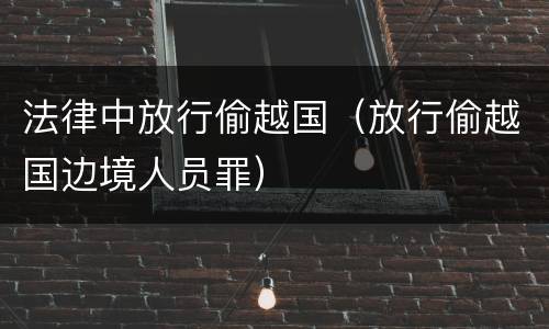法律中放行偷越国（放行偷越国边境人员罪）