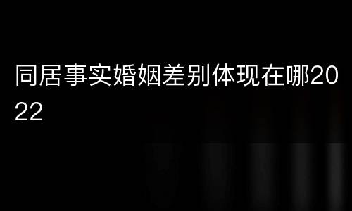 同居事实婚姻差别体现在哪2022