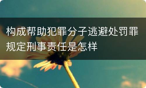 构成帮助犯罪分子逃避处罚罪规定刑事责任是怎样