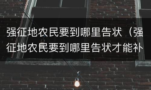 强征地农民要到哪里告状（强征地农民要到哪里告状才能补偿）