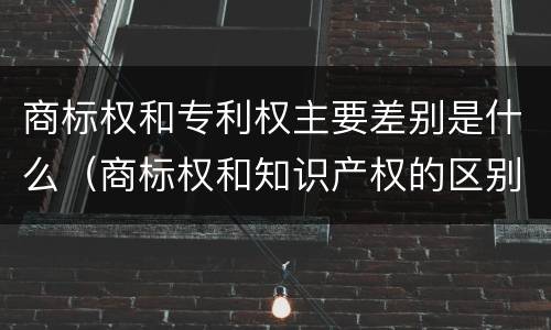 商标权和专利权主要差别是什么（商标权和知识产权的区别）