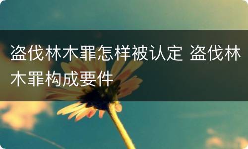 盗伐林木罪怎样被认定 盗伐林木罪构成要件