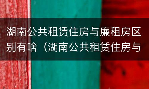 湖南公共租赁住房与廉租房区别有啥（湖南公共租赁住房与廉租房区别有啥不一样）