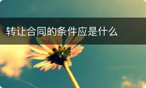 转让合同的条件应是什么