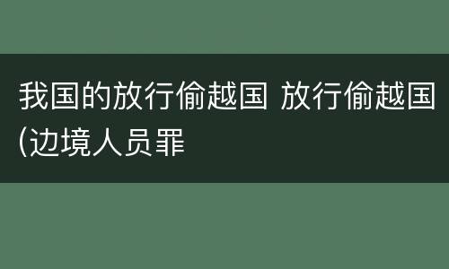 我国的放行偷越国 放行偷越国(边境人员罪