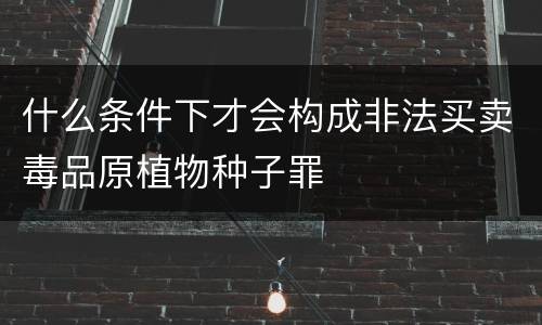什么条件下才会构成非法买卖毒品原植物种子罪