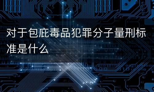 对于包庇毒品犯罪分子量刑标准是什么
