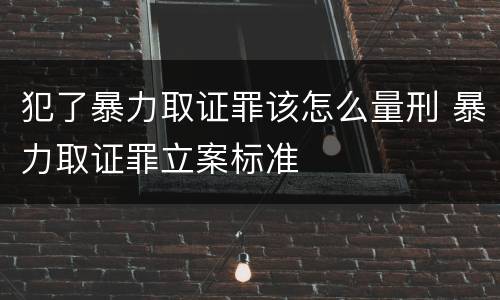 犯了暴力取证罪该怎么量刑 暴力取证罪立案标准