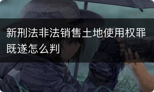 新刑法非法销售土地使用权罪既遂怎么判